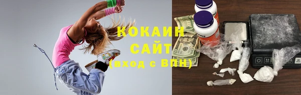 бошки Новозыбков