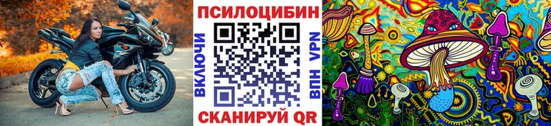 где купить наркотик Вуктыл Галлюциногенные грибы Psilocybe